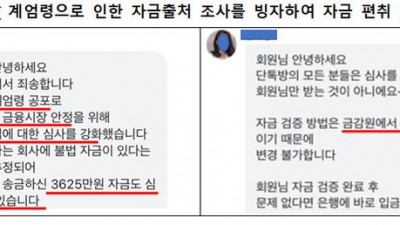 '비상계엄' 악용한 사기도 등장…금감원 불법 리딩방 주의