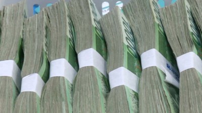 월 1000만 원 결국 총알받이…청년들 빠진 고액알바 덫
