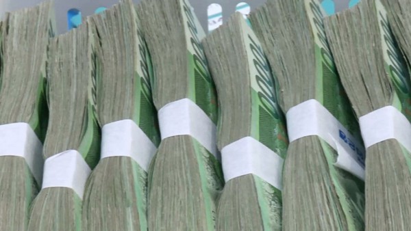 &quot;월 1000만 원&quot; 결국 총알받이…청년들 빠진 고액알바 덫