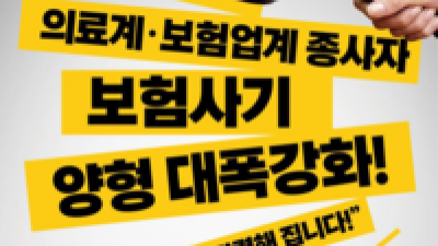 '보험사기 양형' 대폭강화…금감원, 대국민 집중홍보 실시