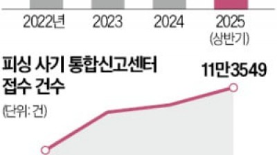 경찰, 싱가포르식 '사기방지센터' 추진