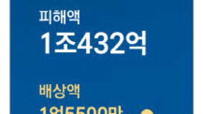 피싱 피해 배상률 고작 0.015% 고객 본인 부주의에 두번 운다