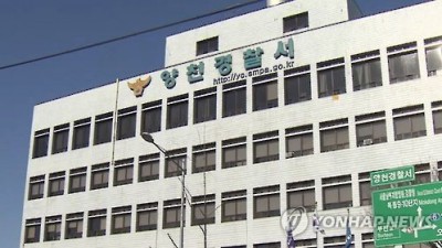 가짜 사이트로 84억 뜯은 캄보디아 거점 리딩방 일당 20명 검거