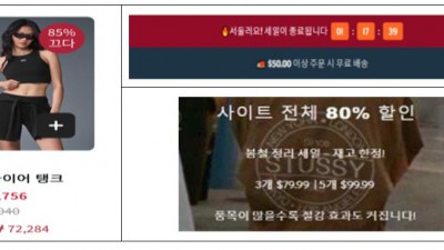 유명브랜드 당일 한정 80% 할인…클릭하면 사기 사이트 접속