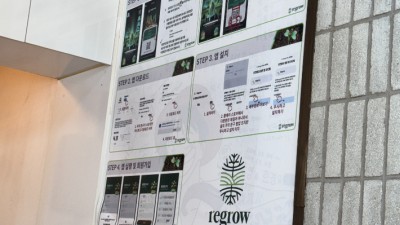 나무 심기 투자, 수억 번다…글로벌골드필드 사태, 중국인도 피해