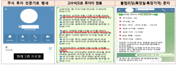 [금융감독원 제공]