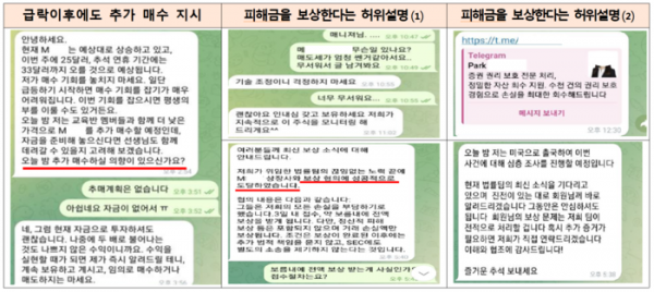 [금융감독원 제공]
