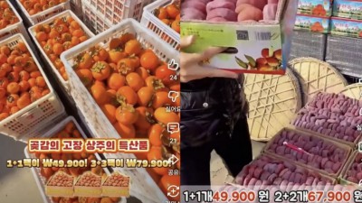 상주 곶감이라더니 주소도 계좌도 중국…유튜브서 우리 농가 도용 '사기'