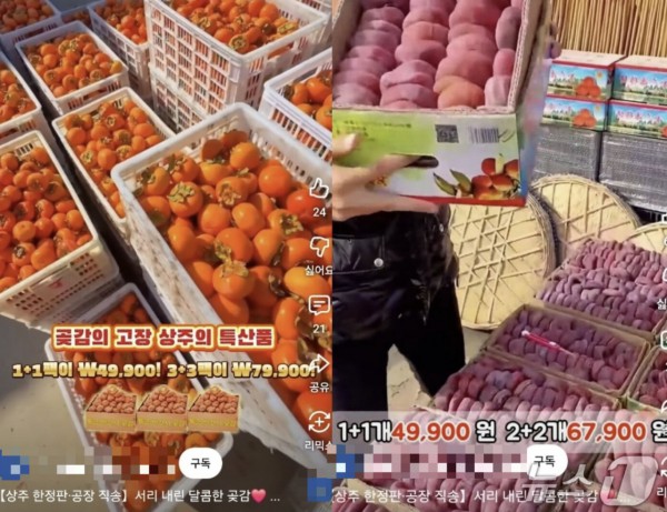 유튜브를 비롯한 SNS(소셜미디어)에서 경북 상주 곶감 농가를 도용한 사기 사건이 발생해 피해자들이 속출하고 있다. /사진=뉴스1