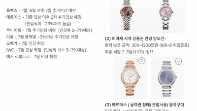 롤렉스·까르띠에·골드바 50% 할인…수십억 사기친 일당 검거