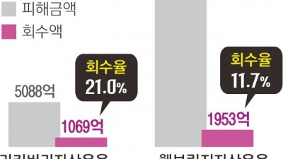 ‘사기 펀드’ 뒷수습 5년, 회수율 21%뿐…  옵티머스 전담 운용사 결국 문 닫는다